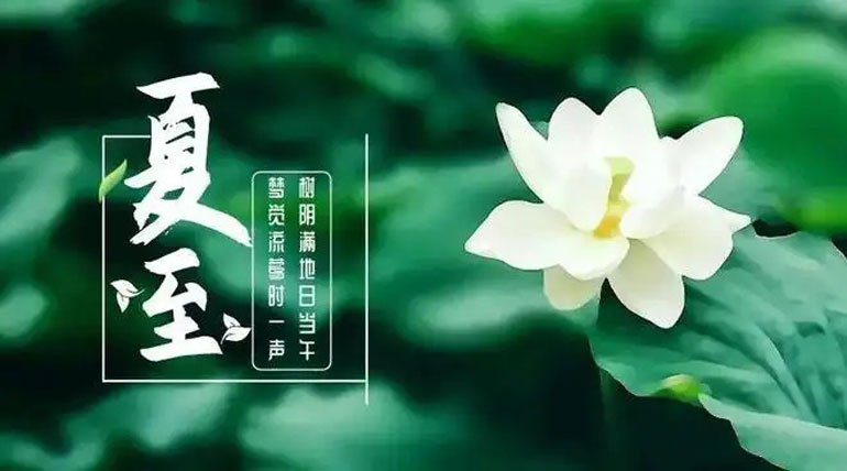 今日夏至“時夏方長、盛暑至”